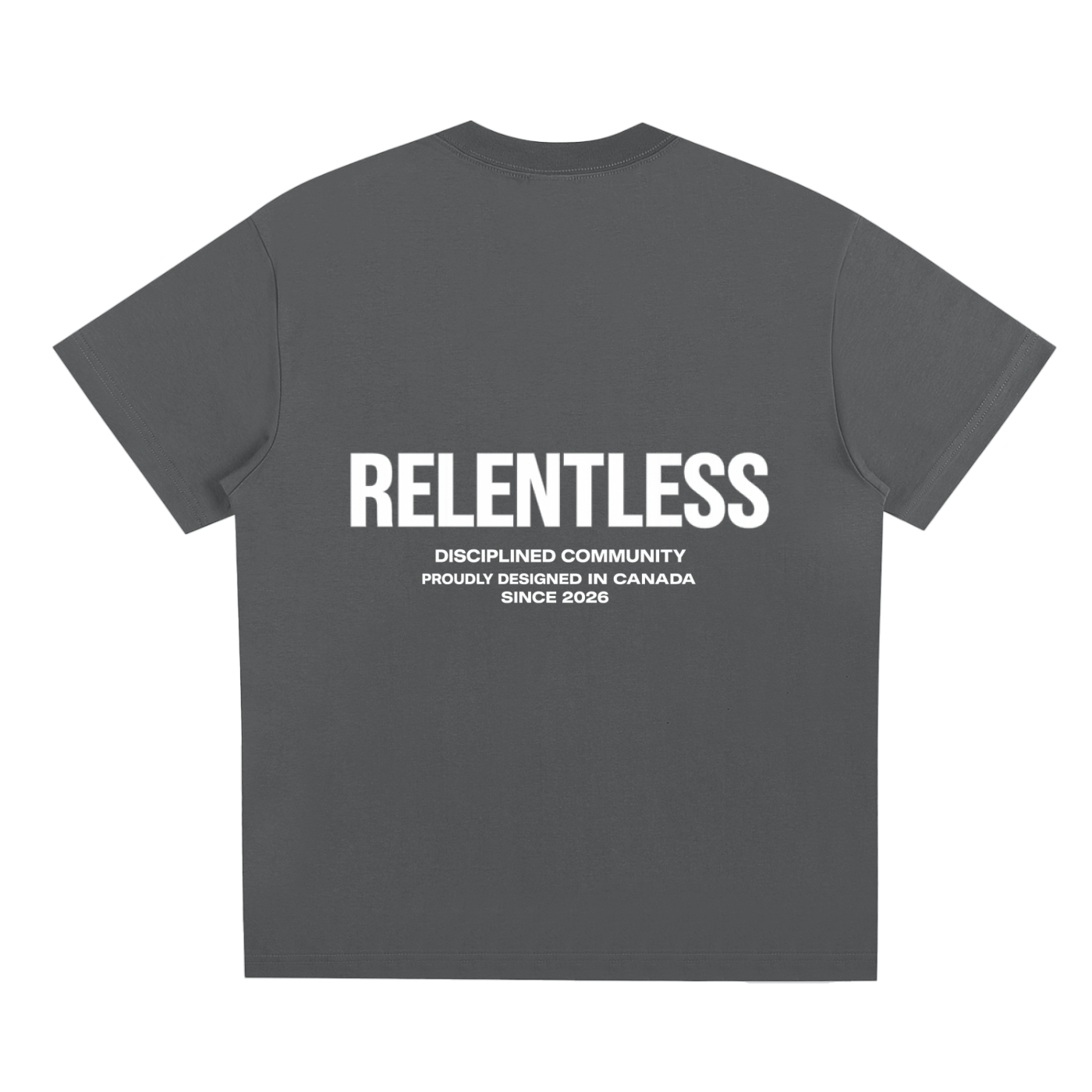 Disciplined Community Sorona T-Shirt dark gray back