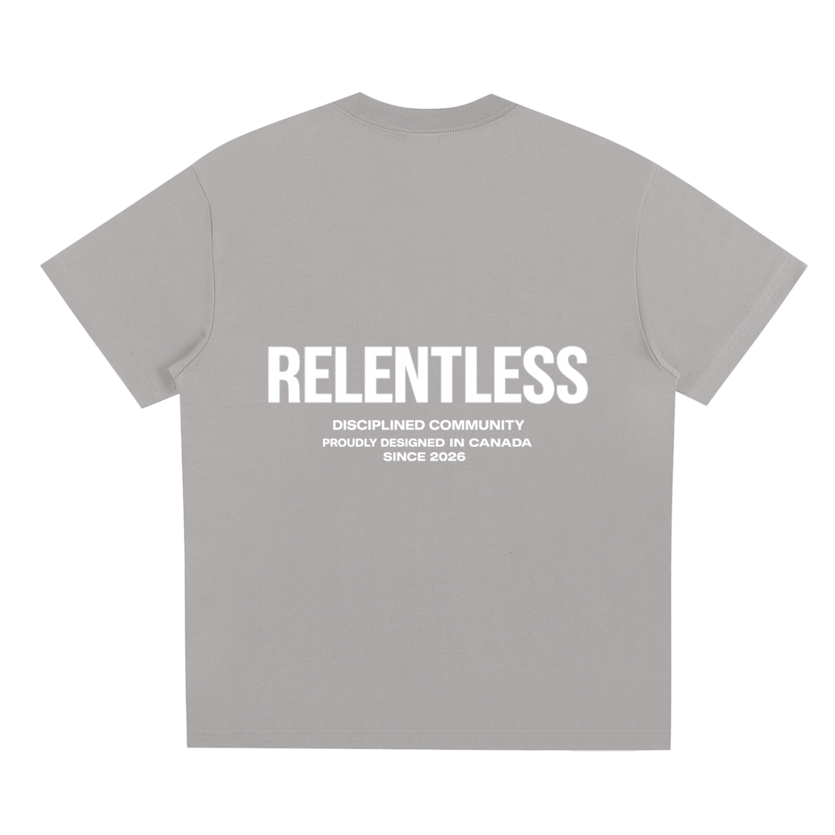 Disciplined Community Sorona T-Shirt gray back
