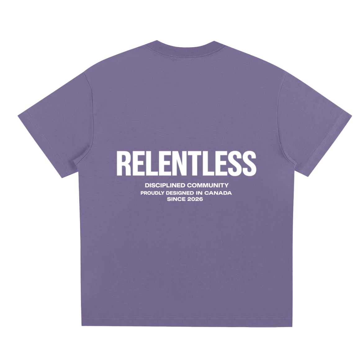 Disciplined Community Sorona T-Shirt misty purple back