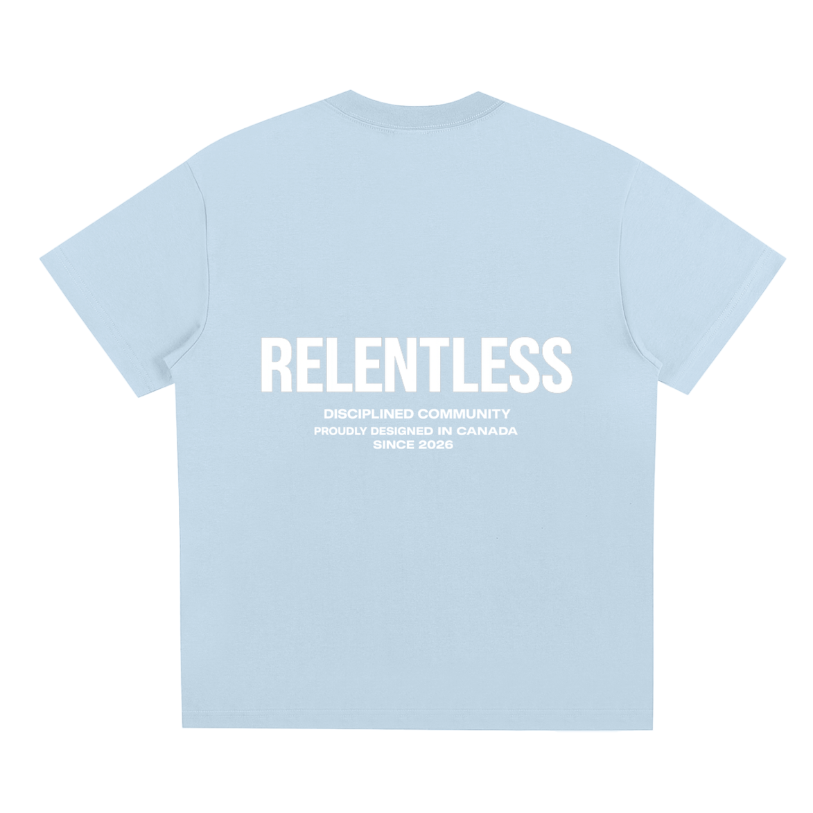 Disciplined Community Sorona T-Shirt sky blue back