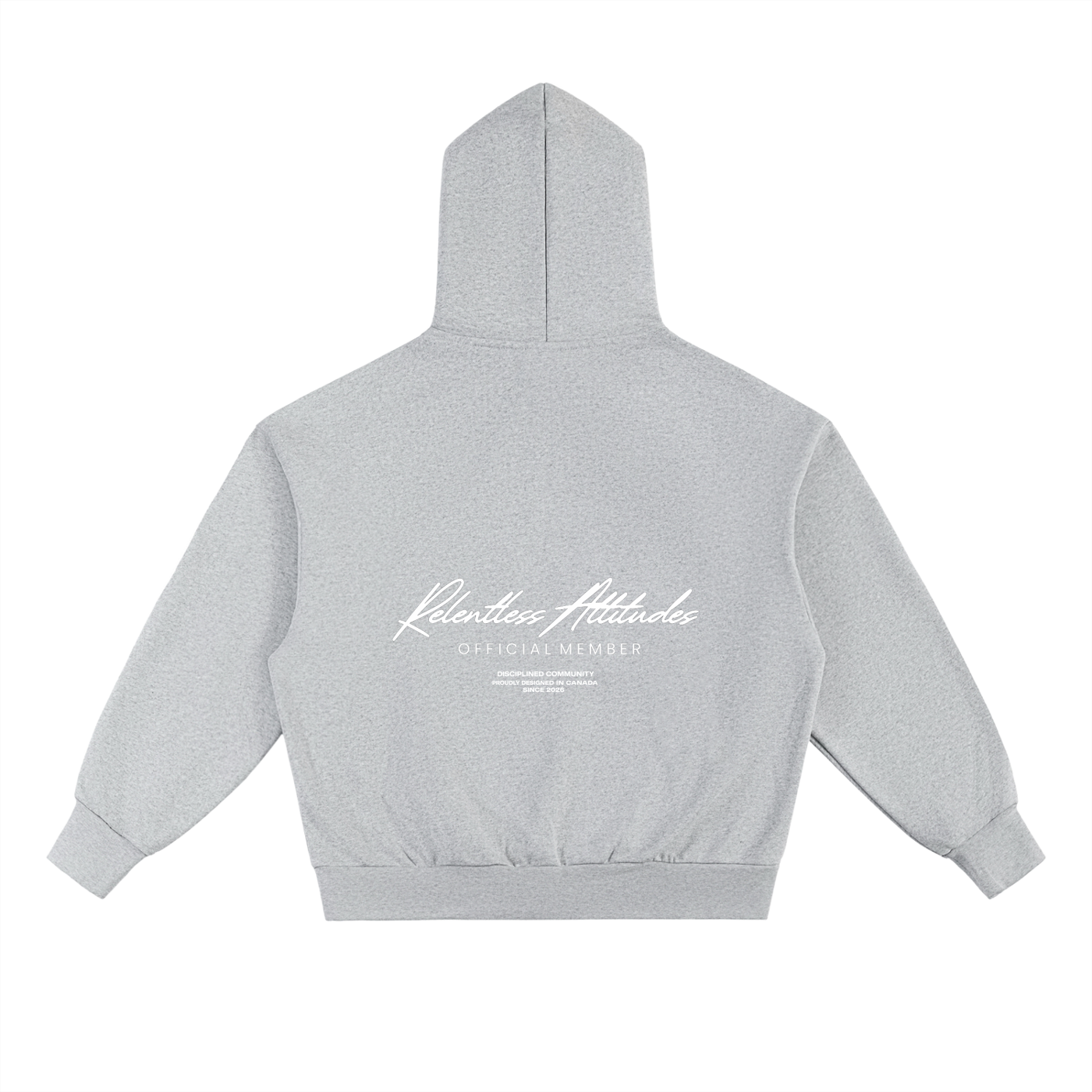 Official Member Hoodie silver gray back